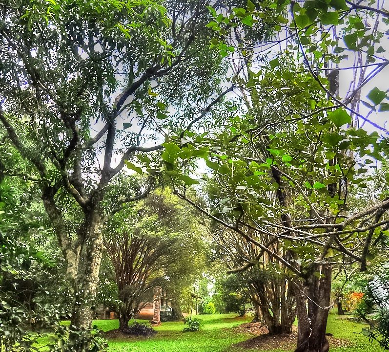 sitio126