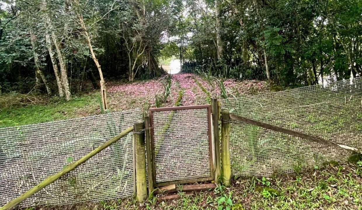 4e6409e1-f98b-4ce1-83e4-d7cfad5400be