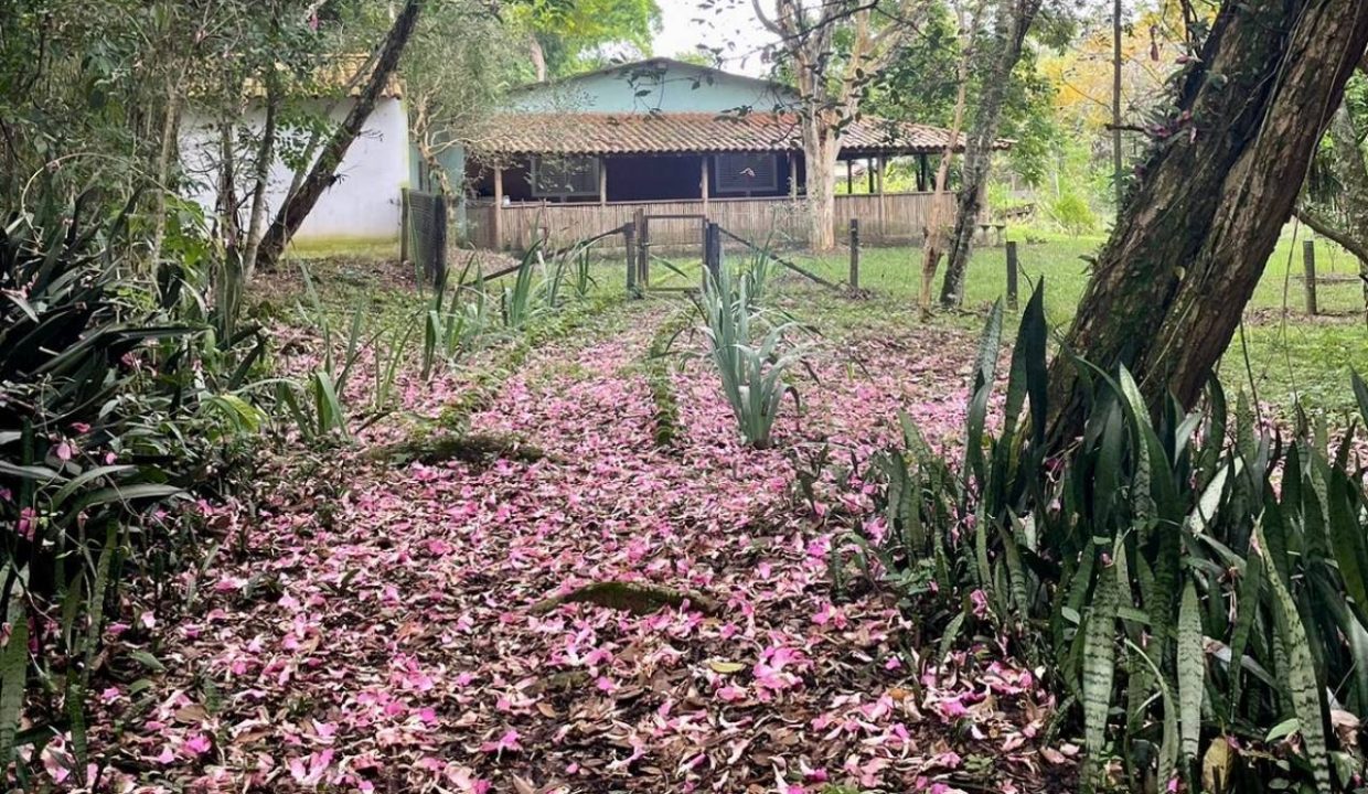 73bc6e8a-63f6-47b6-ba68-a39e1810dbb3