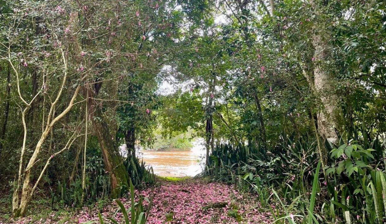 95a98e0a-778f-476e-8d4d-60338250ef6d