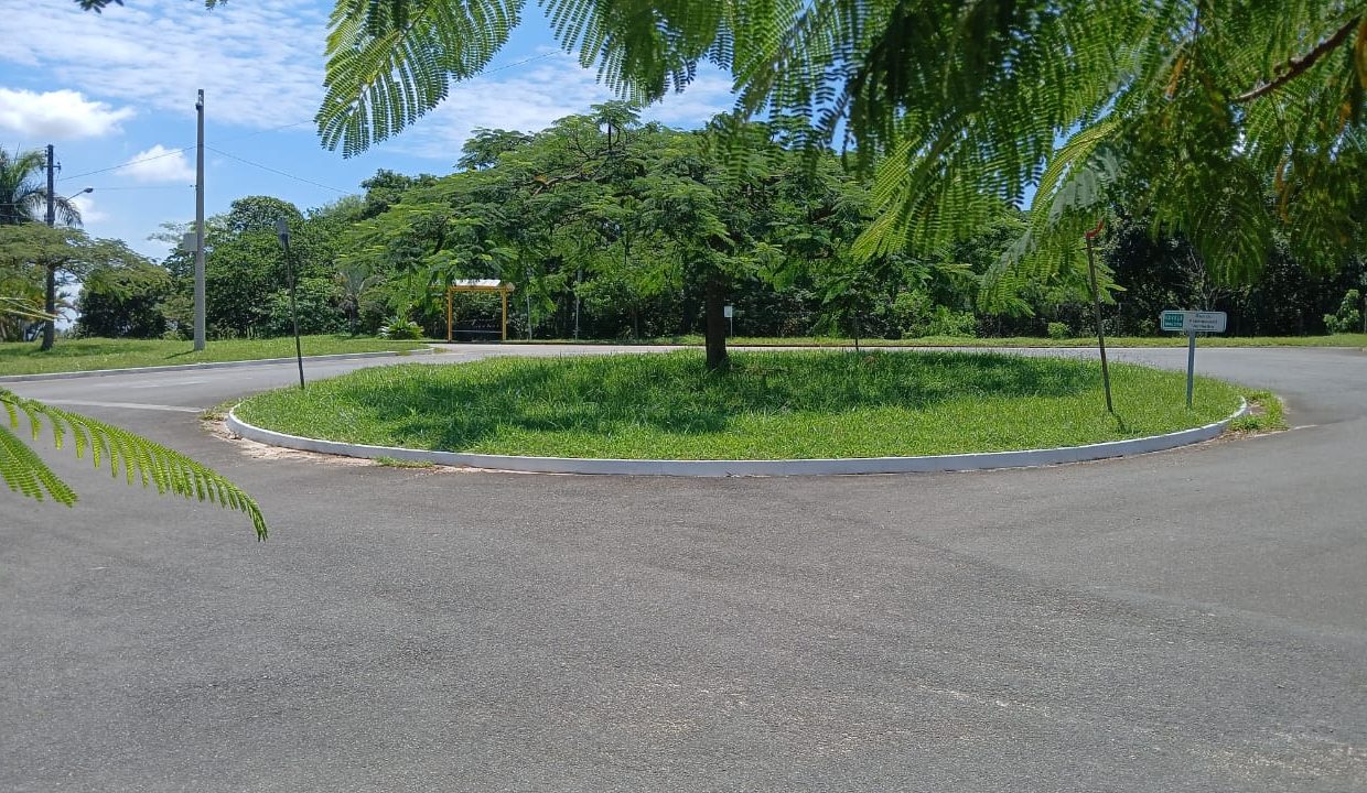 Foto em destaque