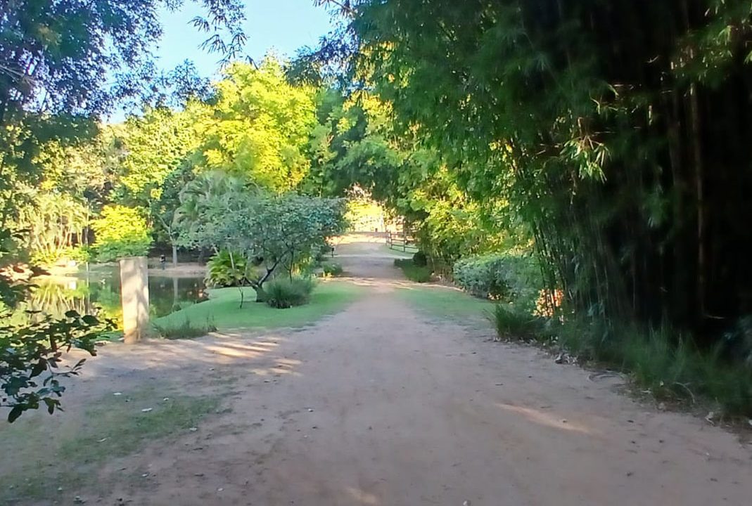 2b280d91-967a-44cd-a9d7-262cceda52a8_0015_ec9c29fb-9e1b-47b3-bf01-c5791719245a