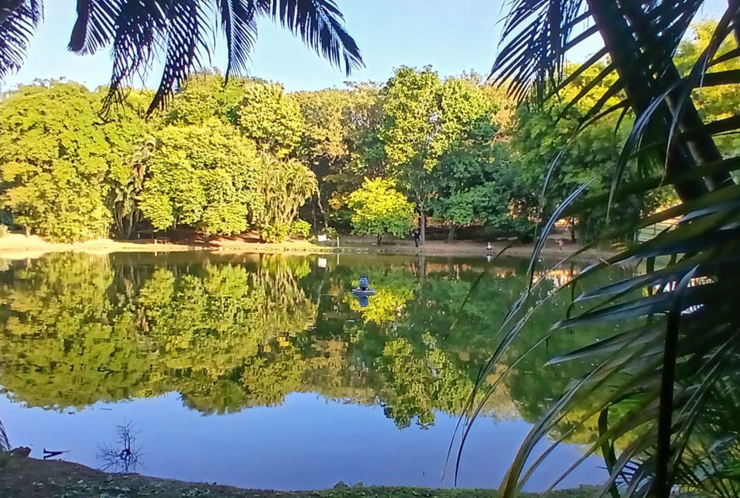 2b280d91-967a-44cd-a9d7-262cceda52a8_0017_d286db3a-81b3-4cc5-ac1c-e26c661a7831