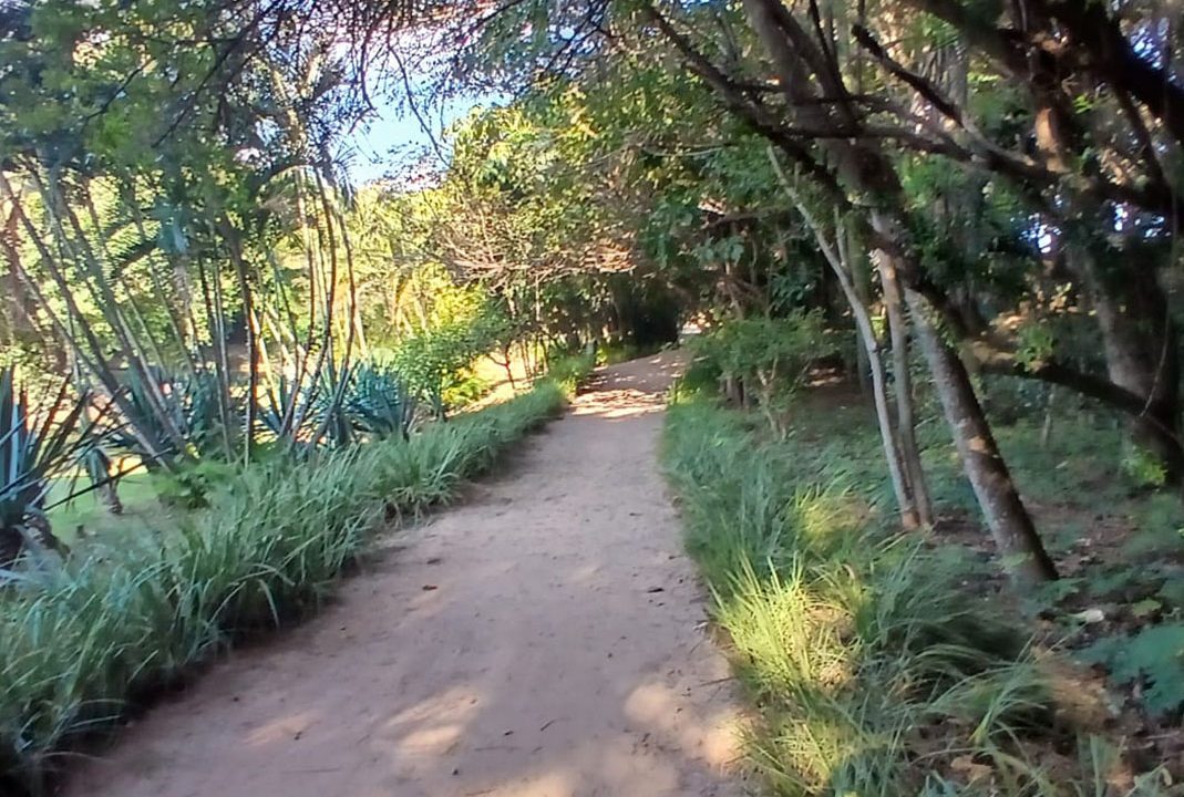 2b280d91-967a-44cd-a9d7-262cceda52a8_0032_663f1d6b-84bb-4612-8bb0-5c8bab466d7b