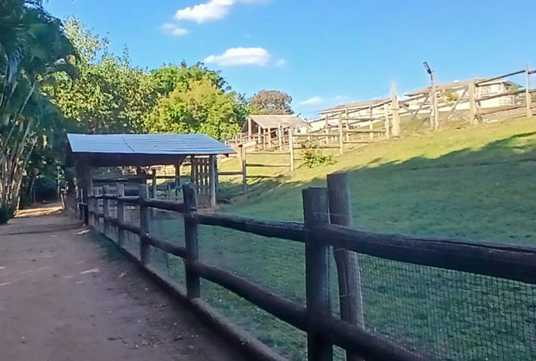 2b280d91-967a-44cd-a9d7-262cceda52a8_0035_326b5715-67f4-4f81-af30-9ab1ec247224