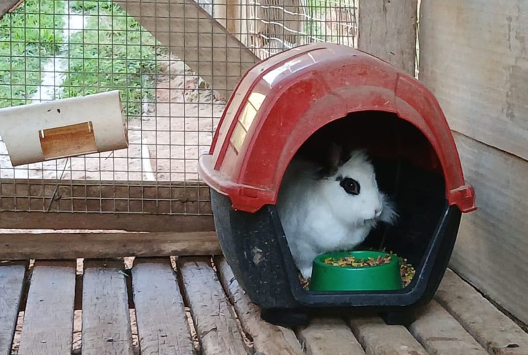 2b280d91-967a-44cd-a9d7-262cceda52a8_0036_242e3507-3395-4a77-a04e-1a32a6eee2a7