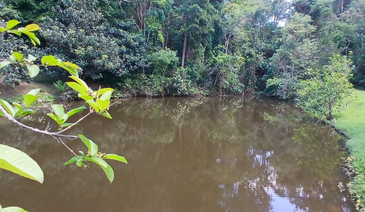 1d815a79-39ff-4854-b96d-f305c1d83710