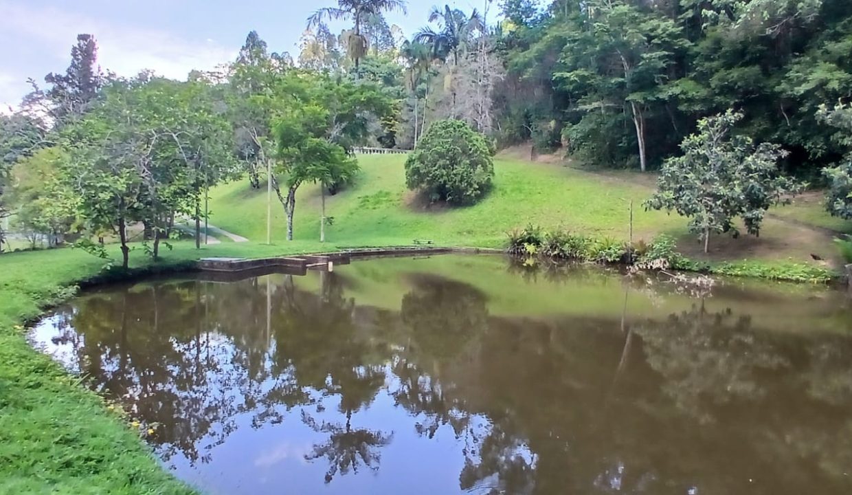 91aa99bf-3b24-46ae-85f0-80c1b9ef926d